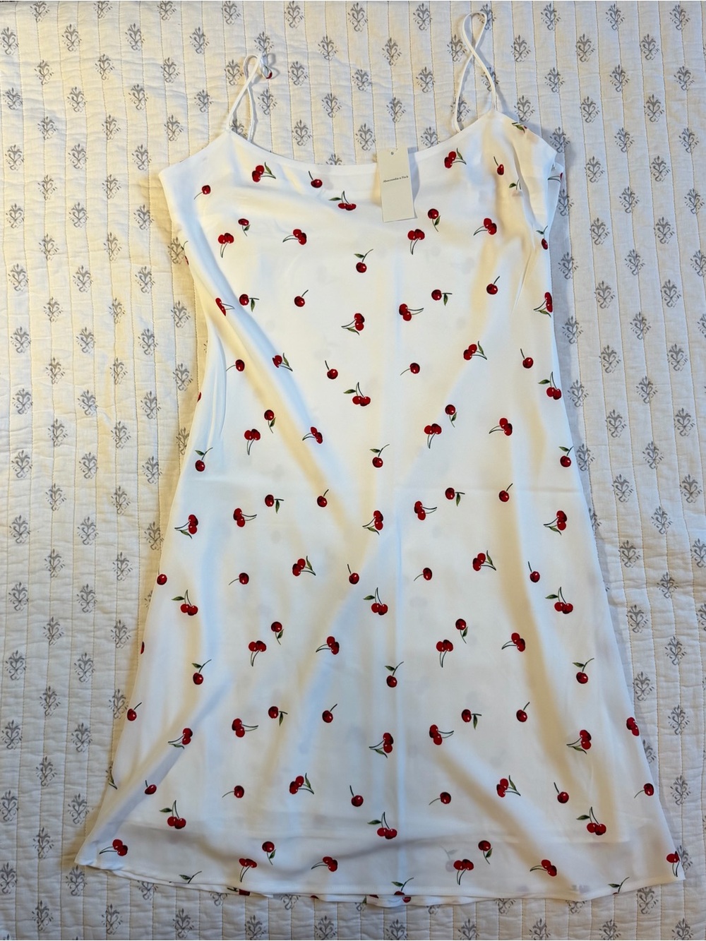 Abercrombie & Fitch Julia Cherry Print Slip Dress NWT Size L ๐ - Picture 2 of 6